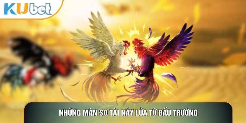 Những màn so tài nảy lửa từ đấu trường